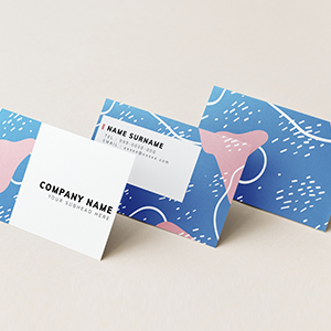 CARTES DE VISITE